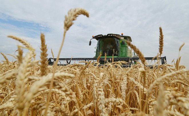 RUSSIA REFUSES TO EXPORT GRAIN TO UKRAINE THROUGH THE MEDIATION OF THE UNITED NATIONS