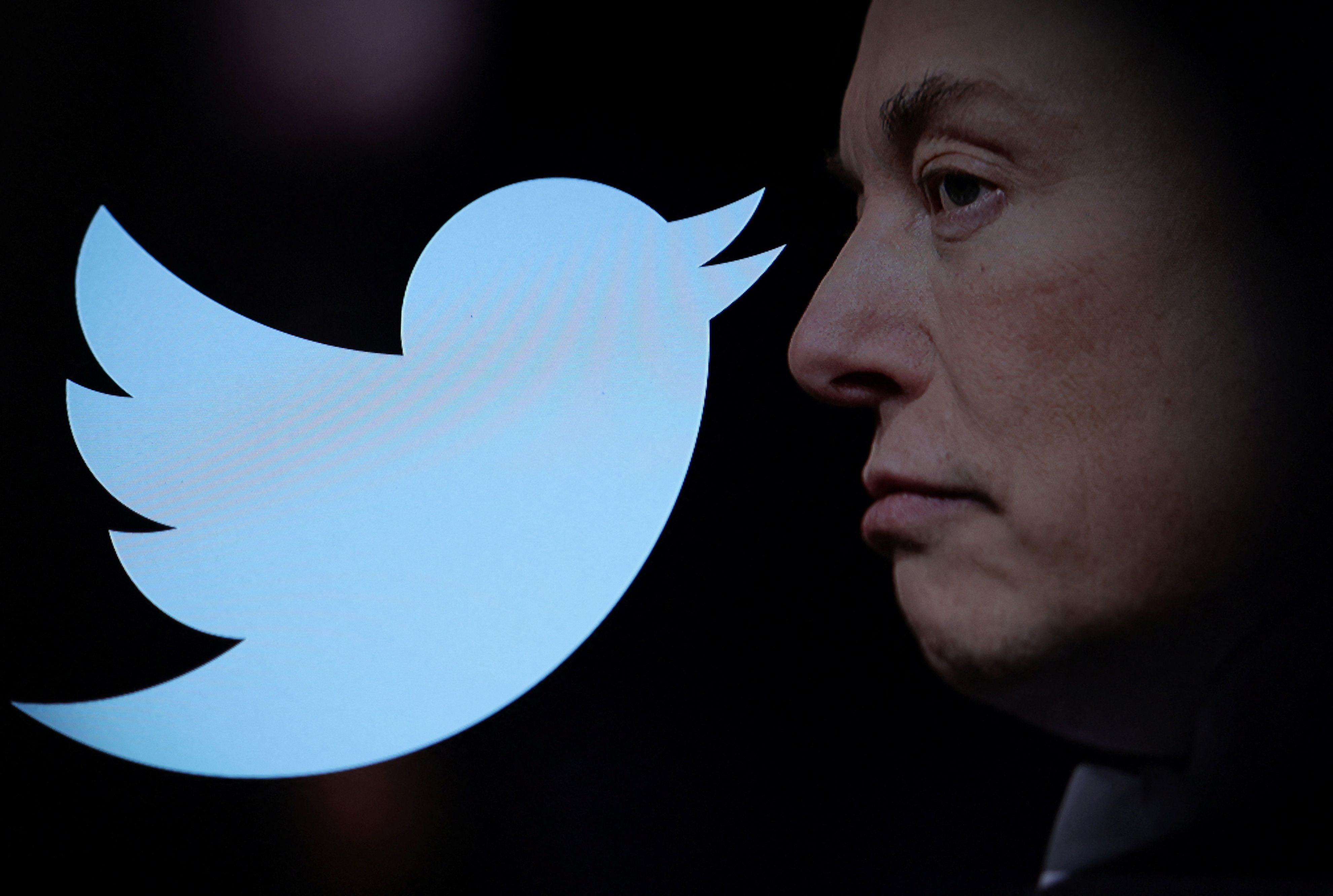 THE OLD TWITTER IS OVER – ELON MUSK HAS TAKEN UP THE CASE