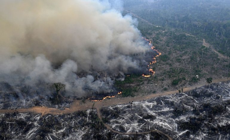 Record Number of Fires Plague Brazil’s São Paulo Amid Heat Wave, Low Humidity