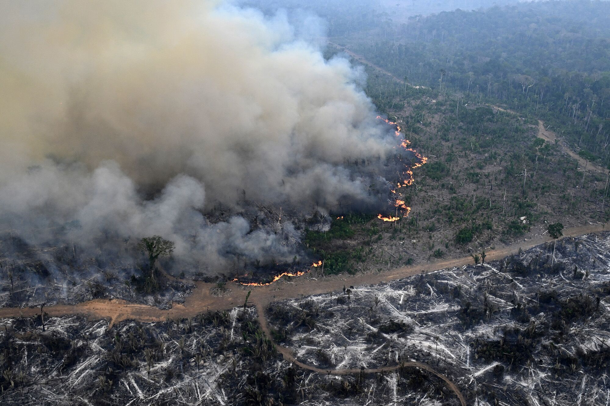 Record Number of Fires Plague Brazil’s São Paulo Amid Heat Wave, Low Humidity