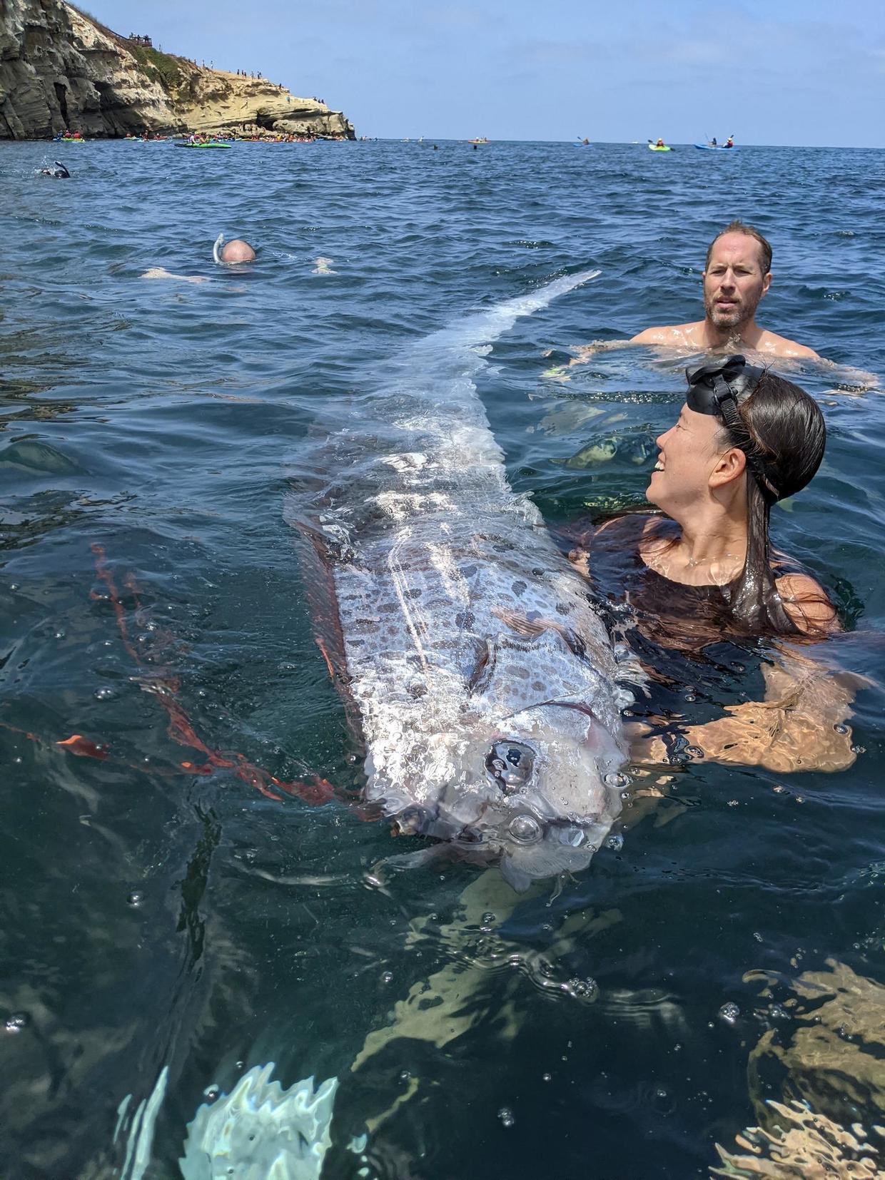 Rare “Doomsday Fish” Washes Ashore in Southern California, Sparking Curiosity