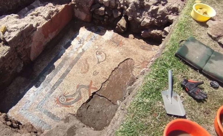 Ancient Mosaic Unearthed in Roman City of Wroxeter