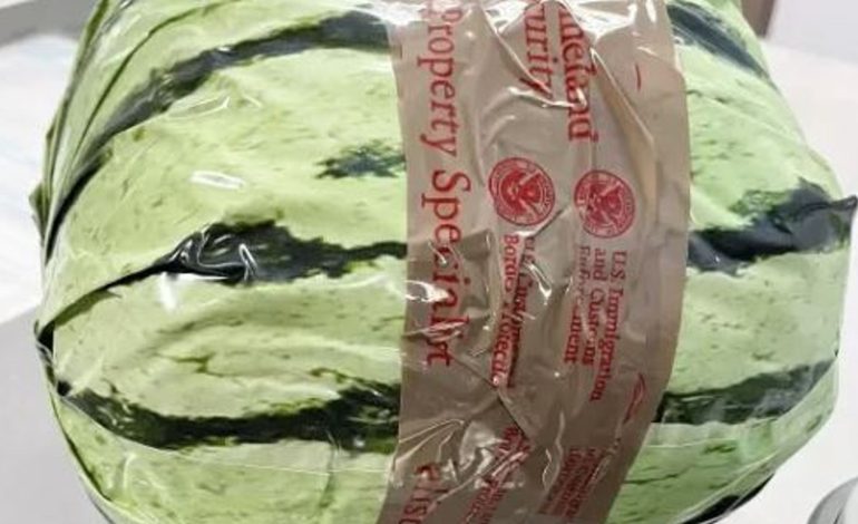 Watermelon Deception: $5 Million Worth of Meth Hidden Inside Fruit at California Border