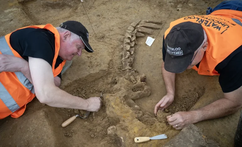 Gruesome Discoveries Unearth Horrors of the Battle of Waterloo