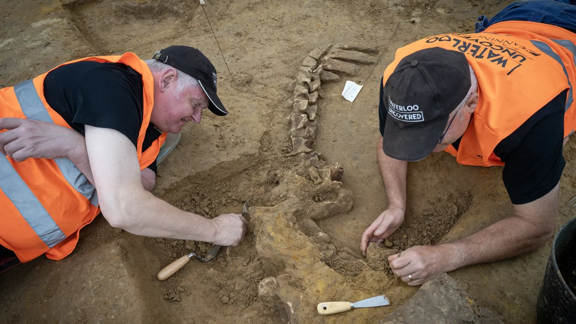 Gruesome Discoveries Unearth Horrors of the Battle of Waterloo