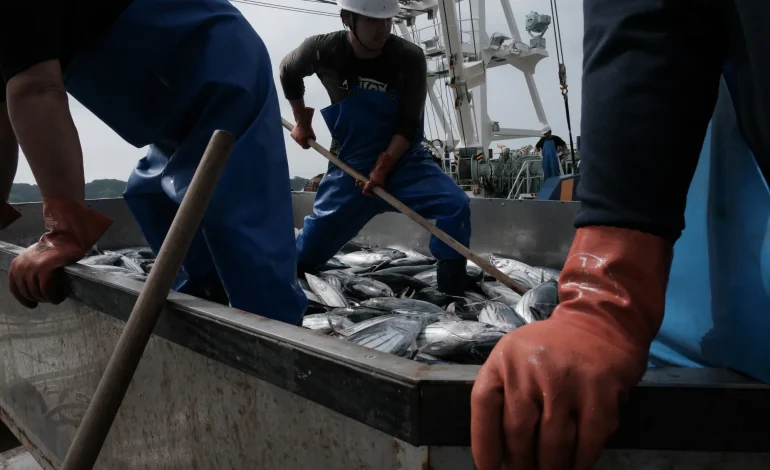 China Says Open to Reviving Japanese Seafood Imports After Fukushima Water Deal