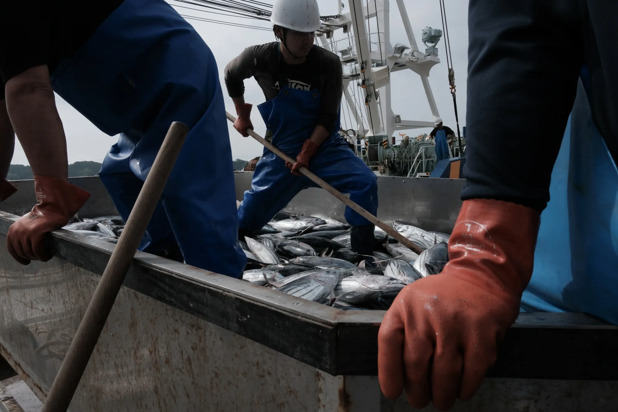 China Says Open to Reviving Japanese Seafood Imports After Fukushima Water Deal