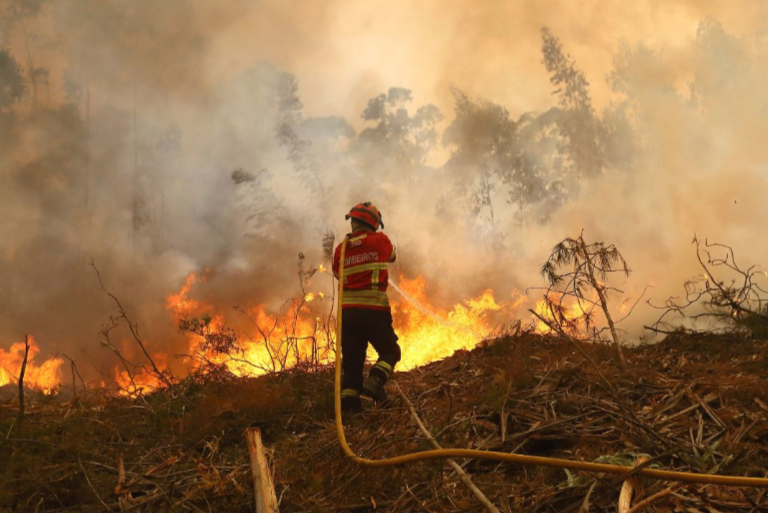 Portugal Declares State of Calamity as Wildfires Ravage Northern Regions