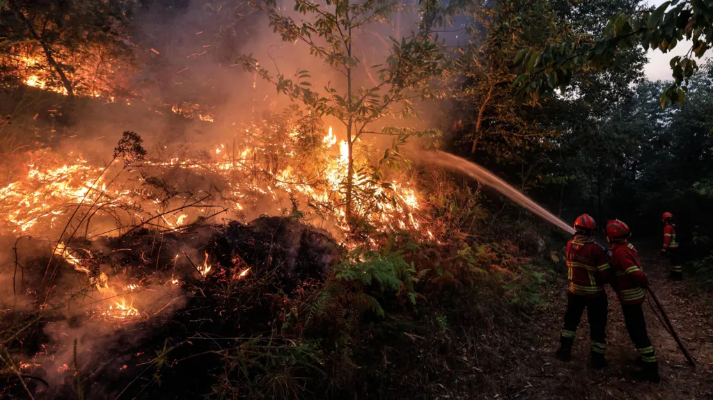 Portugal Faces Severe Wildfire Crisis as Thousands of Firefighters Work to Contain Blazes