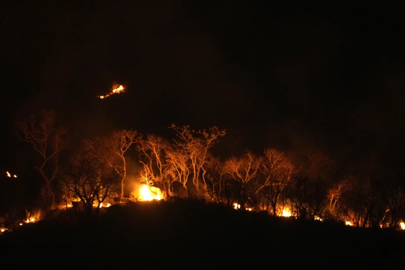 Brazil Faces Worst Drought in Decades as Wildfires Devastate Land and Amazon River Reaches Record Low