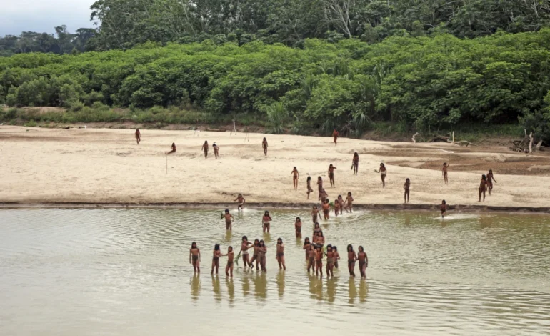 Two Loggers Killed by Isolated Tribe in Amazon Rainforest Clash