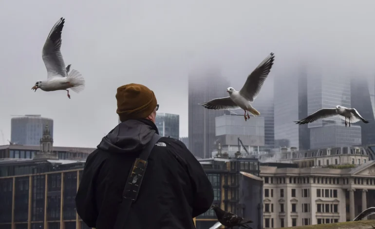 Storm Ashley Batters UK, Bringing Travel Chaos and Flood Warnings