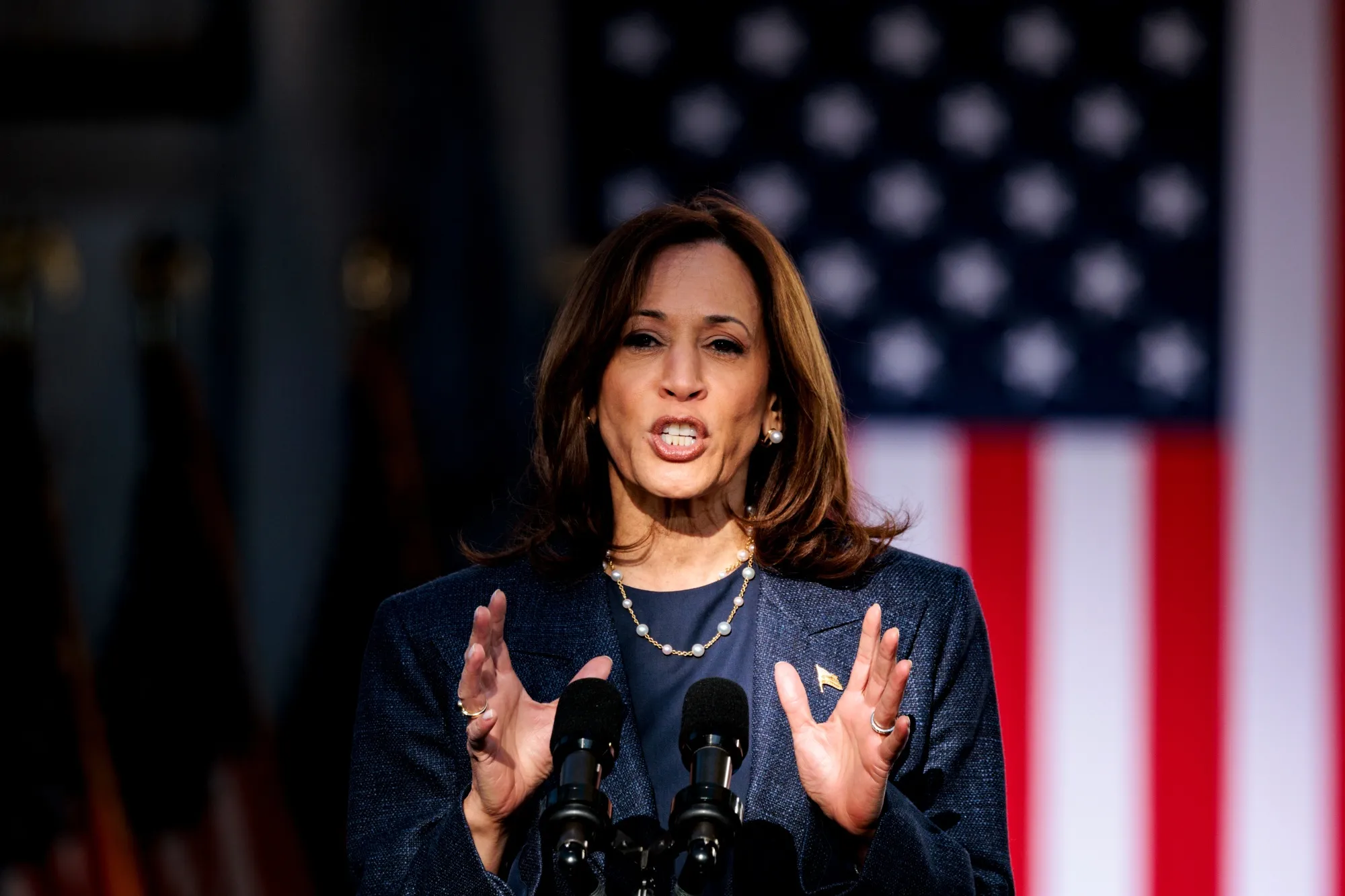 China Leans Toward Harris in US Election, Experts Say