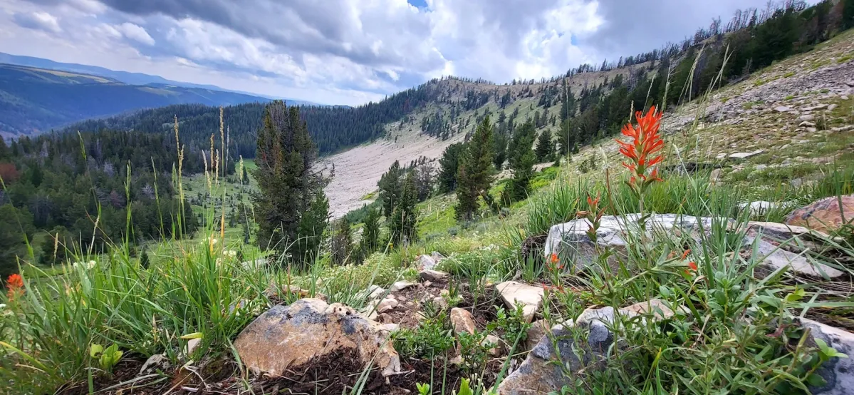 Forest Service to Restore 180-Mile Trail Network in Wyoming Range