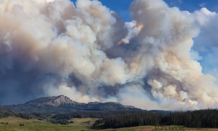 Rocky Mountain Power Delays Wildfire Liability Fund for Wyoming Ratepayers