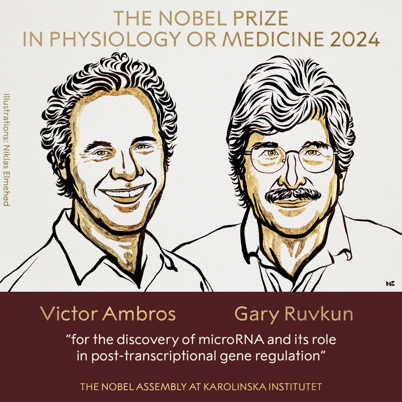 American Scientists Win Nobel Prize in Medicine for Breakthrough in Gene Regulation