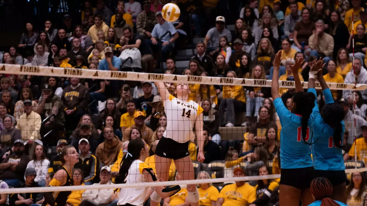 Wyoming Cowgirls Secure Four-Set Victory Over New Mexico to Cap Off Perfect Week