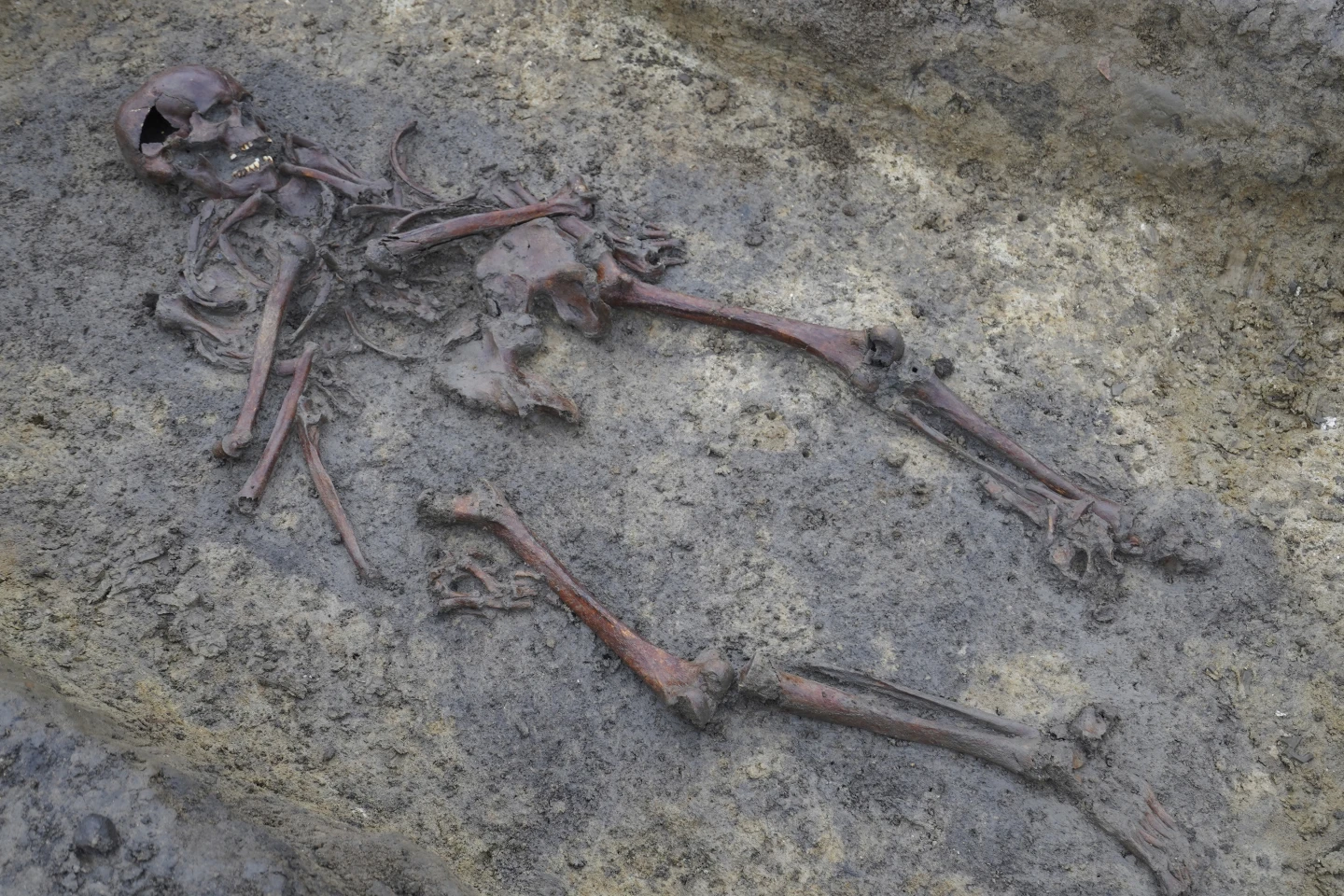 Viking Age Burial Ground Unearthed in Denmark Offers Glimpse into Past