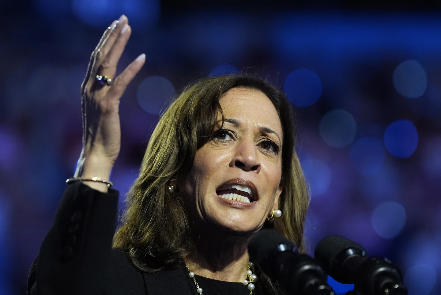 Harris Calls for Unity, Seeks to Distance Herself from Biden’s Controversial Remarks