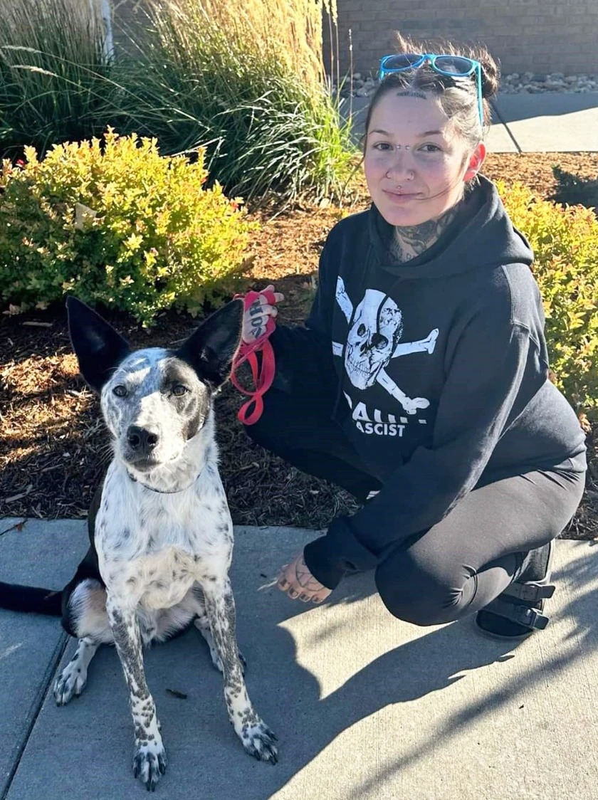 Dog Returned to Casper Humane Society After Reported Found in North Dakota