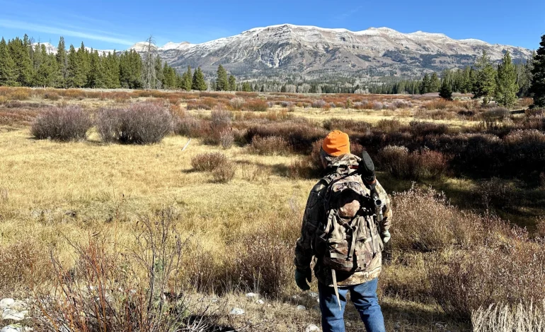 Warm Fall Pushes Wyoming Elk to Higher Elevations, Hunters Adjust Strategies