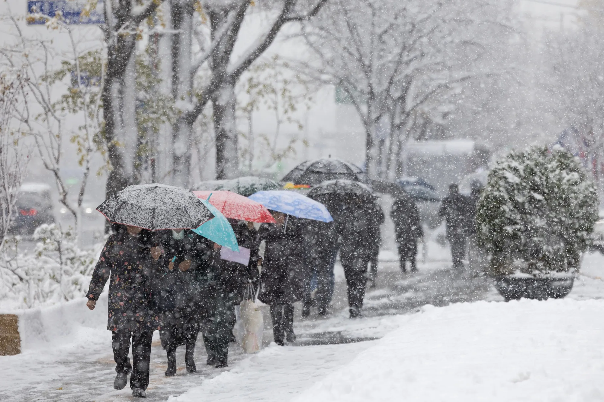 Record Snowfall Paralyzes South Korea’s Capital, Disrupts Flights, Power