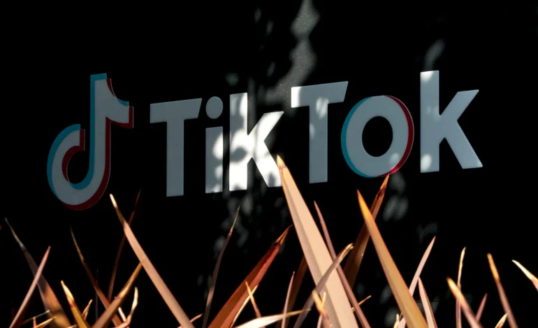 French Families Sue TikTok, Claiming App Led to Children’s Suicides