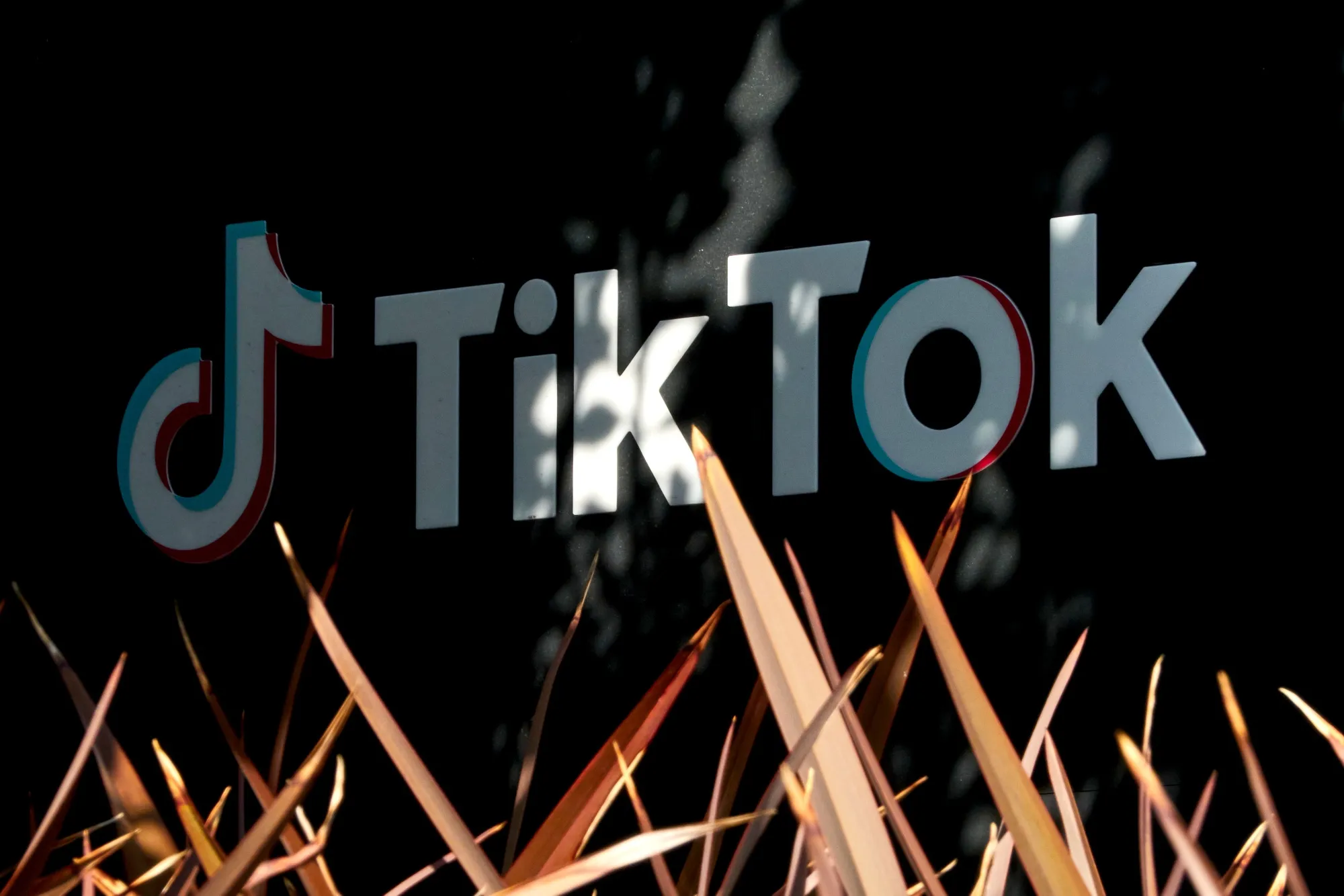 French Families Sue TikTok, Claiming App Led to Children’s Suicides