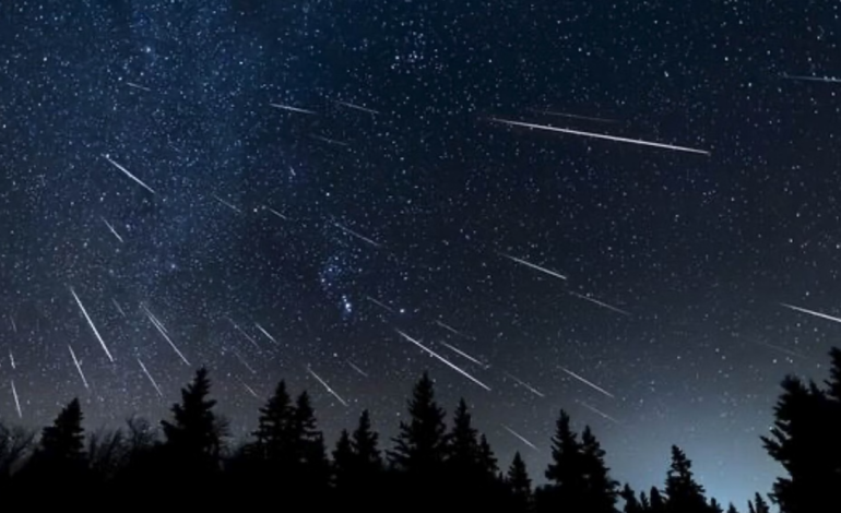 Wyoming’s November Sky Spectacle: Four Meteor Showers to Light Up the Night