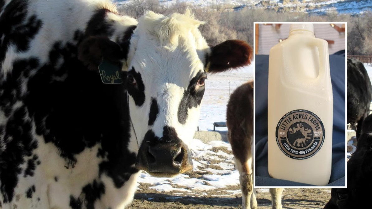 Raw Milk Legalization: Wyoming Leads the Way, National Debate Grows