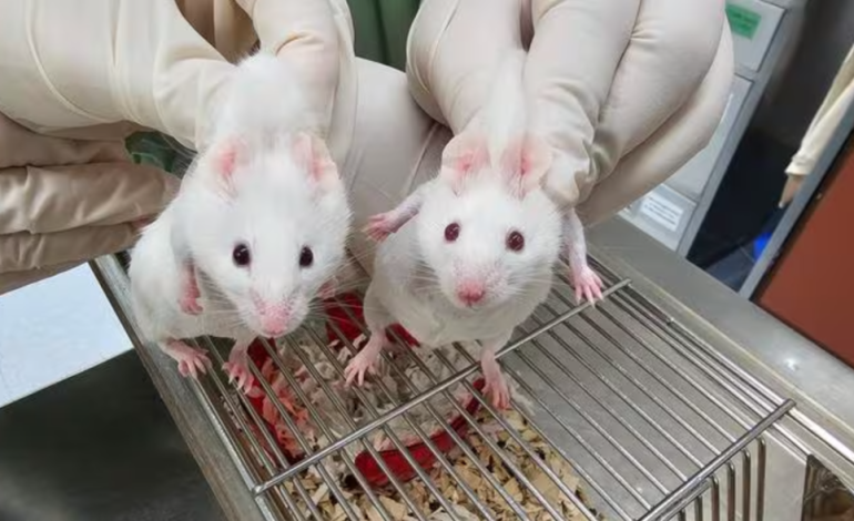 Scientists Create Mouse Using Genes From Microorganism, Unlocking Ancient Evolutionary Secrets