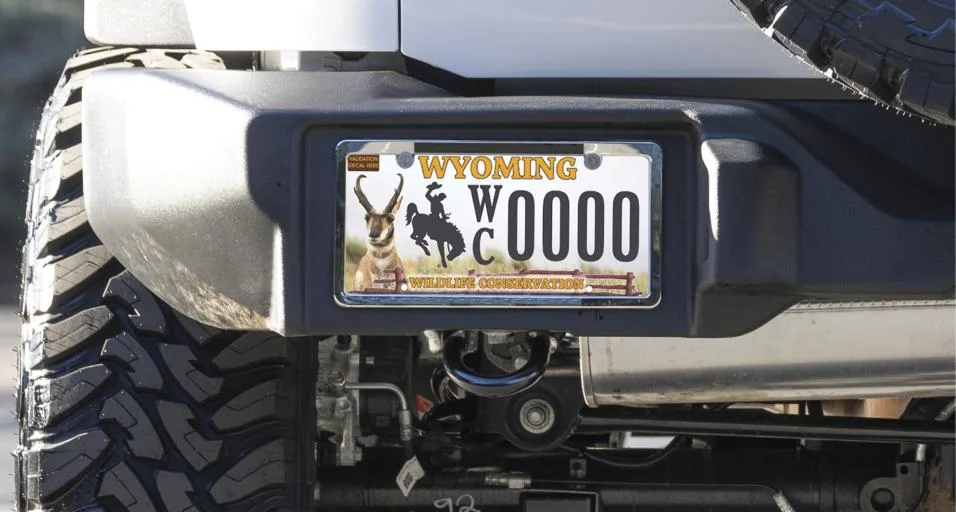 New Pronghorn Conservation License Plate Available to Wyoming Drivers