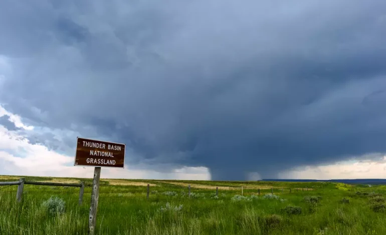 Bass Pro Shops, Cabela’s Grant $250K to Support Mule Deer Foundation’s Conservation Efforts