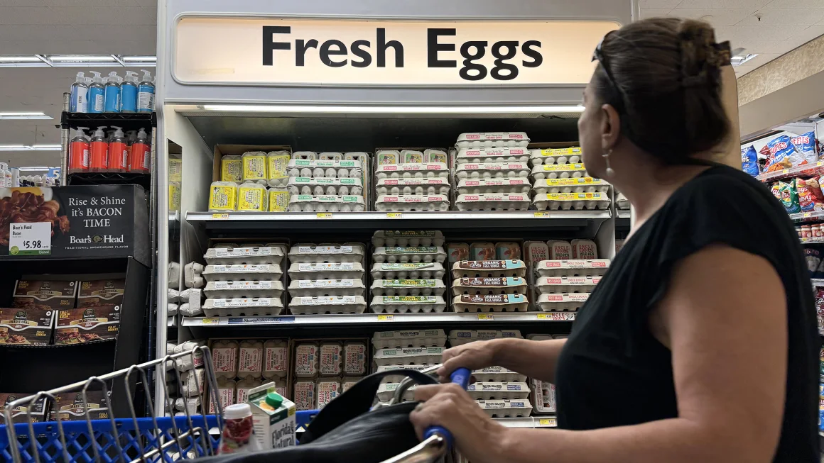 Egg Prices Soar Ahead of Holidays, Driven by Avian Flu, Increased Demand