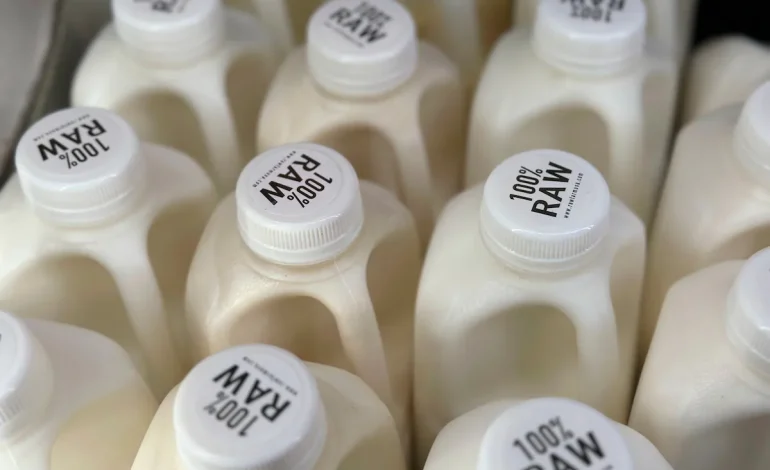 Bird Flu Detected in Raw Milk at California Store Raises Health Concerns