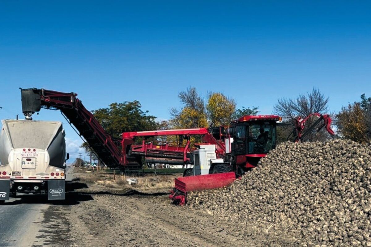 Record Sugar Beet Harvest for Wyoming Sugar in Washakie County