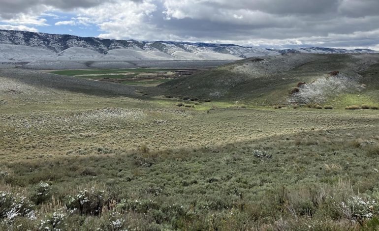 Bipartisan Infrastructure Law and Inflation Reduction Act Support Sagebrush Conservation Efforts in the West