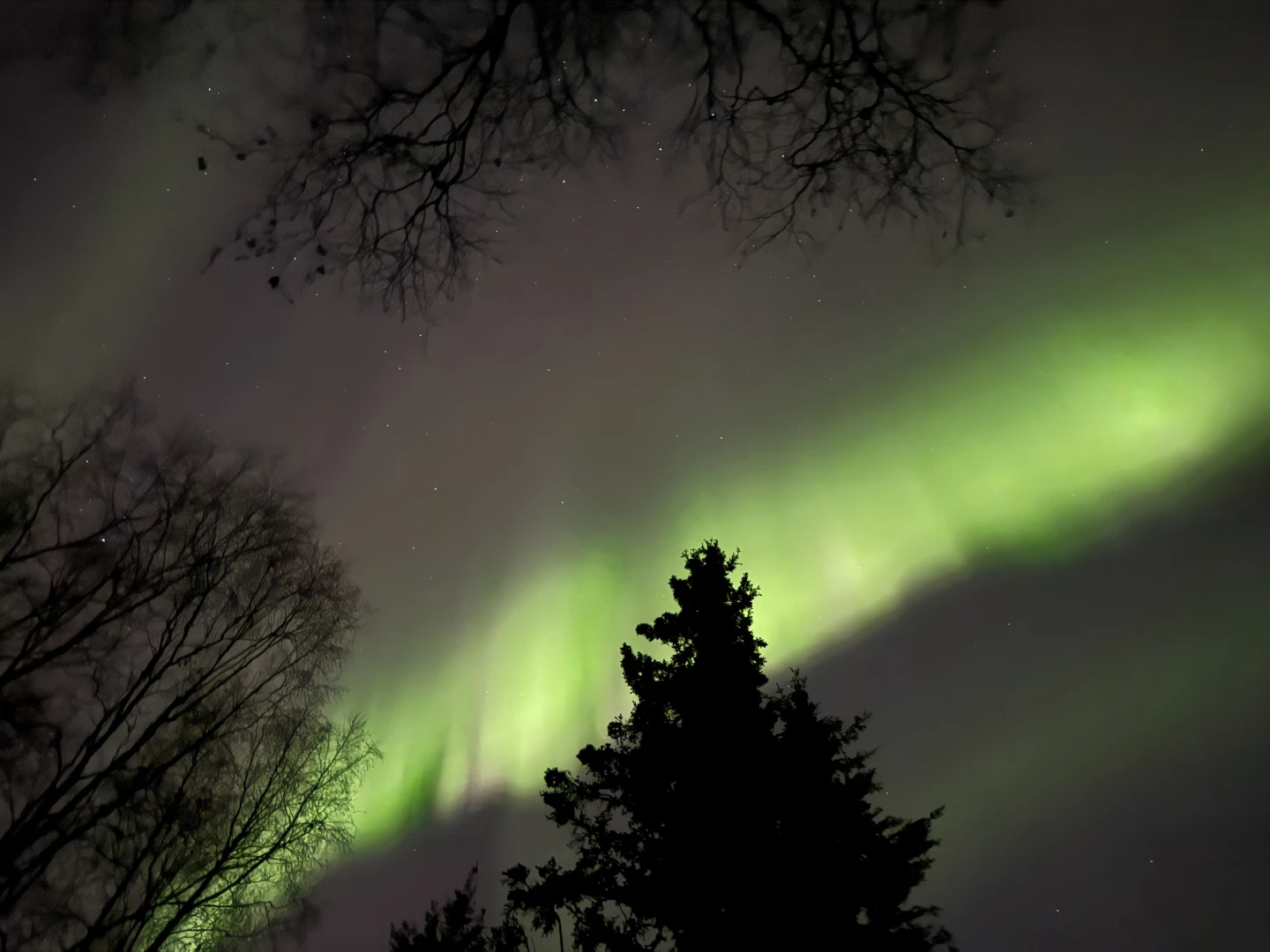 Thanksgiving Sky Show? Faint Auroras Possible Across Northern US