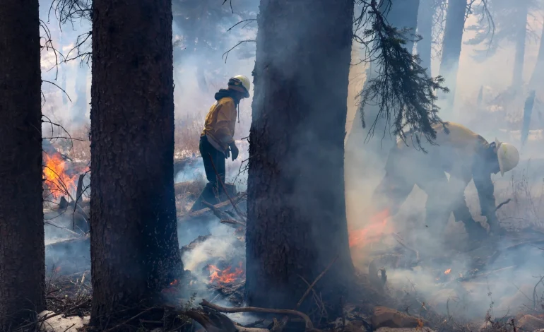 Fire Crews Conduct Prescribed Burns Across Western Wyoming as Winter Arrives