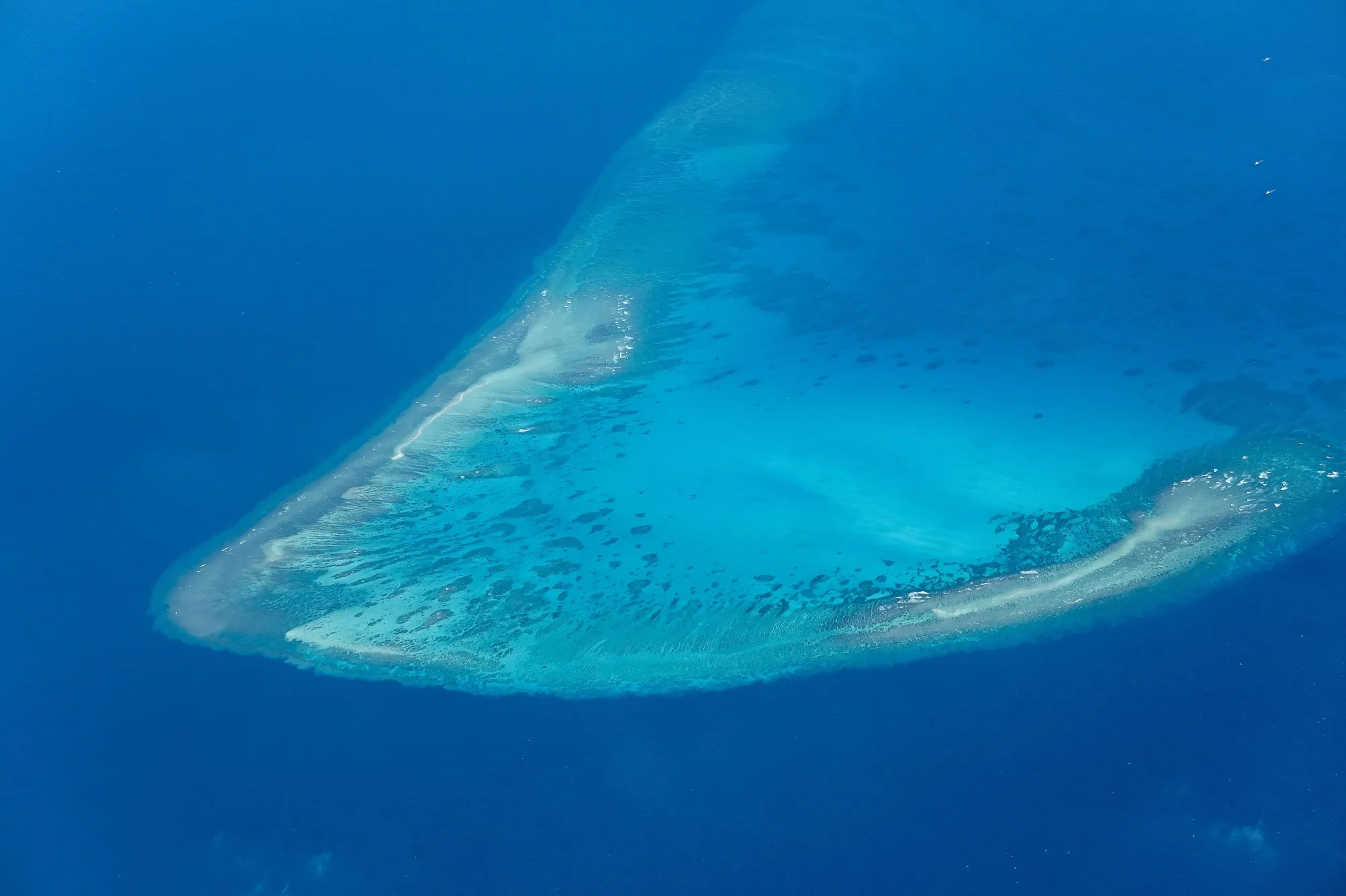 Chinese Helicopter Accused of Harassing Filipino Fishermen in Disputed South China Sea 