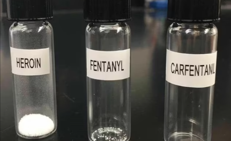 CDC Issues Urgent Warning About Carfentanil, a Drug 100 Times More Lethal Than Fentanyl, Following Deadly Surge Across 37 States