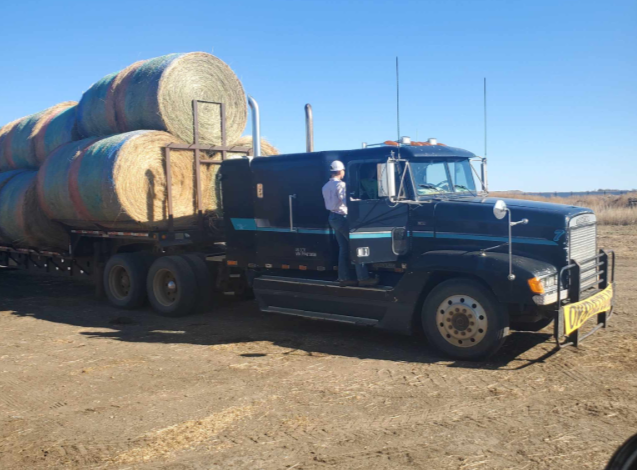 Kansas Man Convicted of Defrauding Montana and Wyoming Hay Buyers