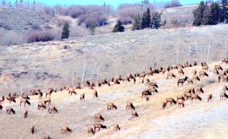 Gordon Signs Agreement to Sell Kelly Parcel to Grand Teton National Park for $100 Million