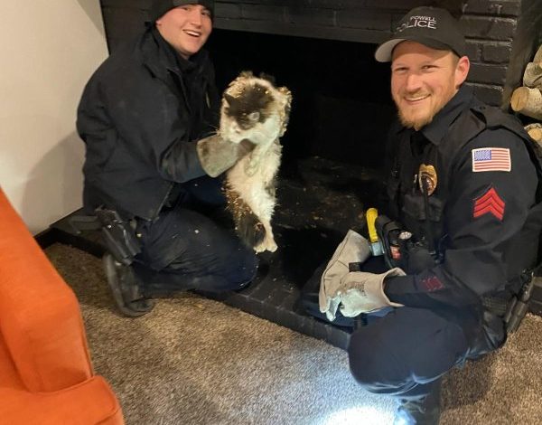 Wyoming Police Rescue Cat Trapped Inside Chimney