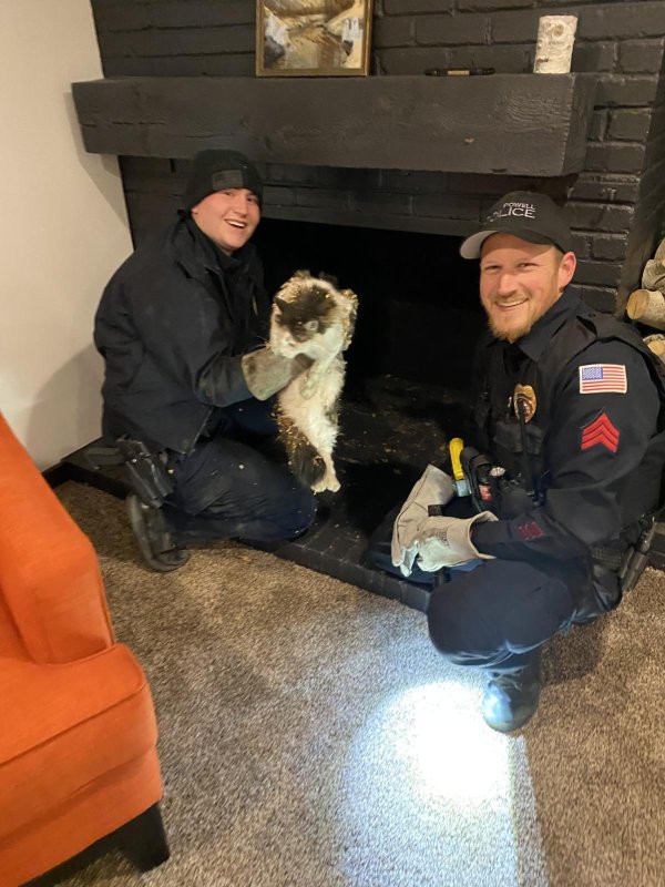 Wyoming Police Rescue Cat Trapped Inside Chimney