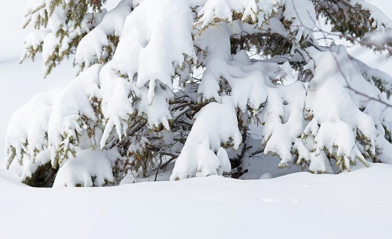 Heavy Snow and Strong Winds Expected in Sierra Madre Range Through Friday Morning