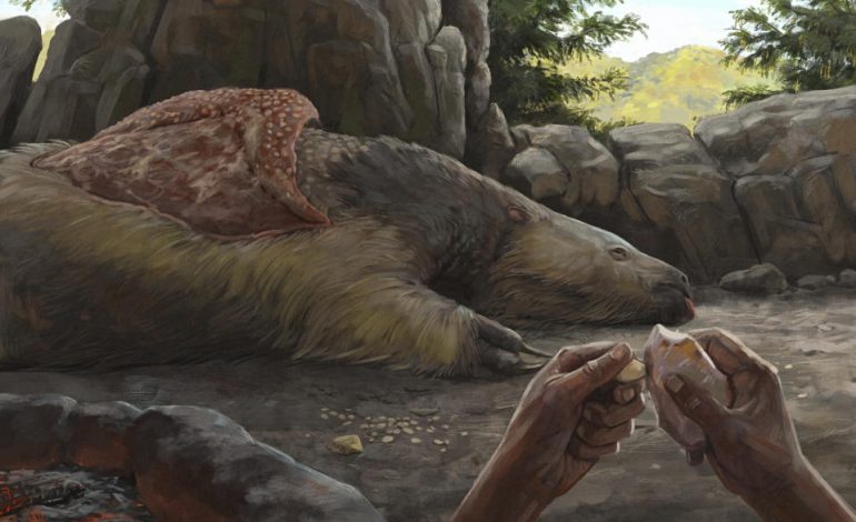 New Evidence Reveals Ancient Humans Coexisted with Giant Sloths and Mastodons in the Americas for Millennia