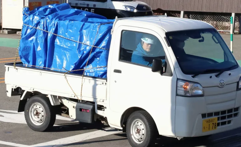 Supermarket Rampage: Bear Caught After Attacking Worker in Northern Japan