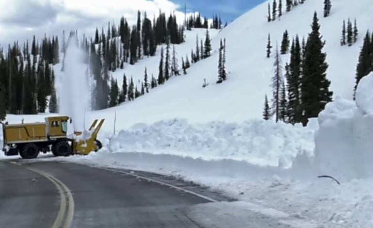 Navigating Wyoming’s Winter Roads: Safety Tips for Drivers