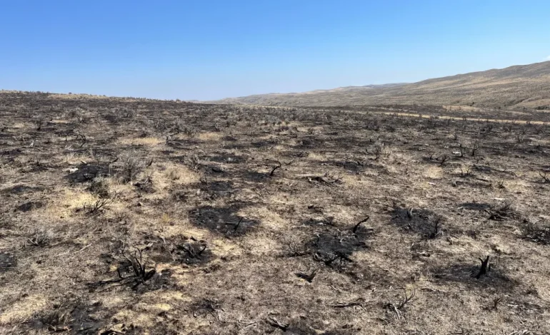 Wyoming Lawmakers Reduce Fire Recovery Funding Amid Historic Wildfire Season